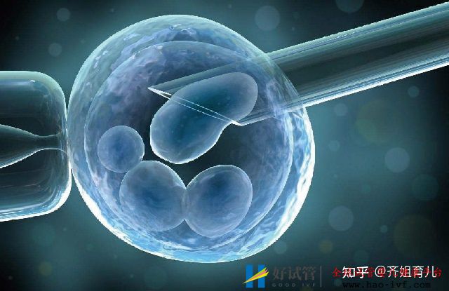 6年试管经历告诫女性别轻易做试管婴儿,三个代价...(图5) 6年试管经历告诫女性别轻易做试管婴儿,三个代价...(图5)