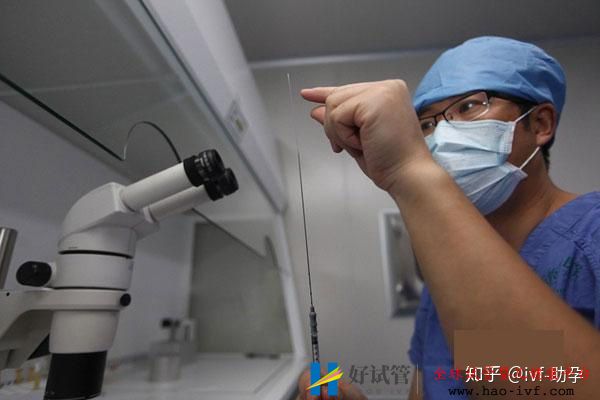 做试管婴儿的流程——六个步骤(图2) 做试管婴儿的流程——六个步骤(图2)