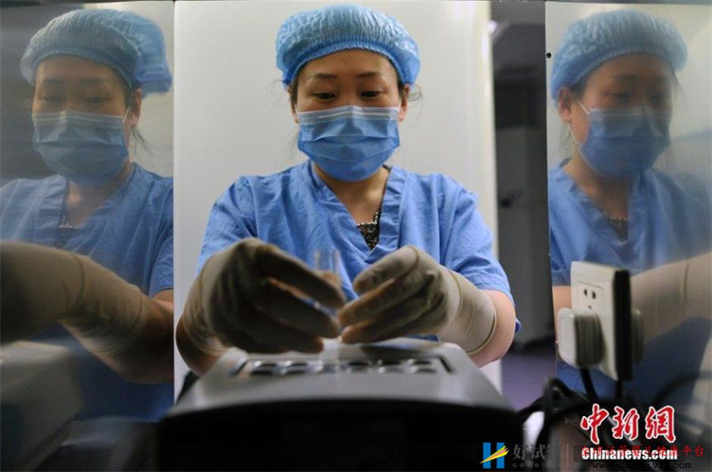 揭秘“试管婴儿”全过程放入液氮中冷冻(图)(图2)