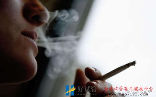 试管婴儿的成功率到底有多高说出来你可能不信(图3) 试管婴儿的成功率到底有多高说出来你可能不信(图3)