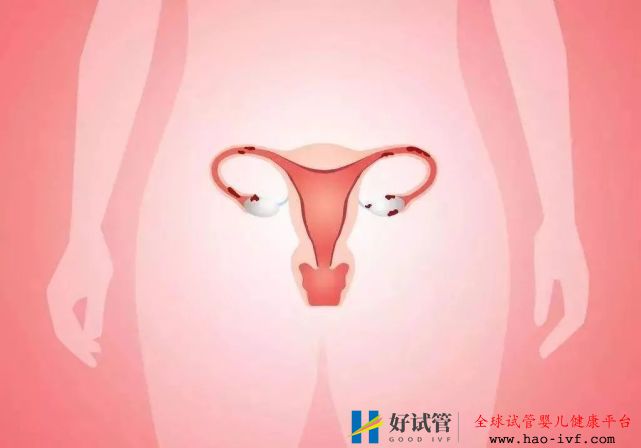 女性绝经后还可以做试管婴儿吗?(图1) 女性绝经后还可以做试管婴儿吗?(图1)