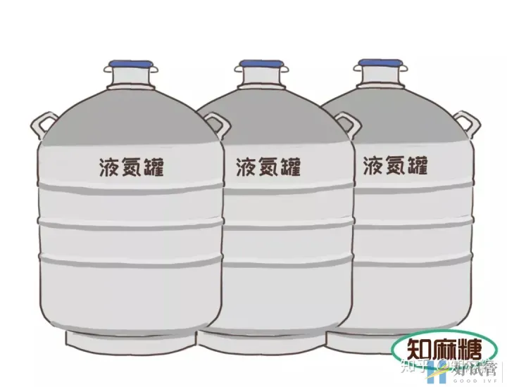 试管婴儿长方案需要多少天(什么是“试管婴儿”?)深度揭秘(图11) 试管婴儿长方案需要多少天(什么是“试管婴儿”?)深度揭秘(图11)