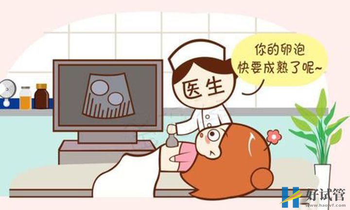 卵泡不破时要对症治疗,这几种检查手段你一定要知道(图2) b超可监测卵泡是否成熟