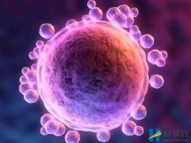 备孕遇上卵泡不破综合症别紧张,这4个治疗办法赶快收下(图2) 子宫内膜异位症会影响卵泡破裂