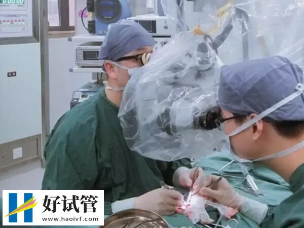 输精管堵塞能不能做人授(图1) 手术取精是获得精子的方式之一