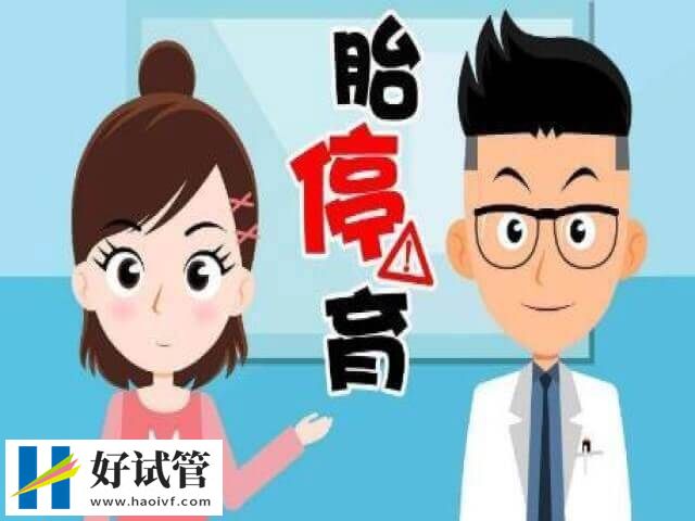 胎停现象的主要原因有哪些(图1) 病毒感染是导致胎停的原因之一