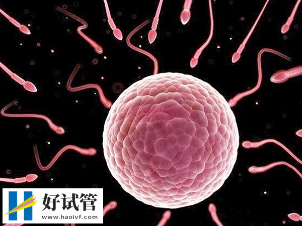 做试管婴儿生的宝宝一般能活几年(图2) 一代试管婴儿寿命与正常孩子一样