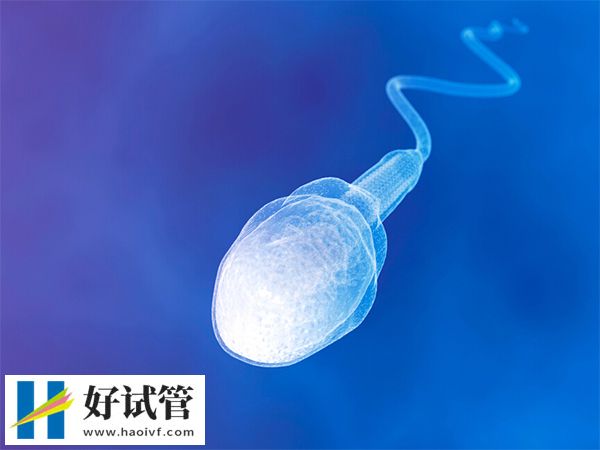 夜针当天要排精来不来得及(图1) 精子在体内可以存活几天