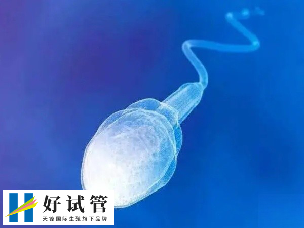 取精可不可以用润滑剂(图3) 显微取精过程不复杂