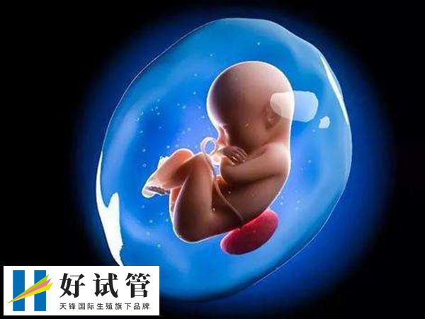 荆州市第一人民医院取卵成功率(图2) 年龄影响试管婴儿成功率