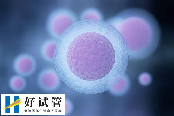 五个成熟卵子质量好够用