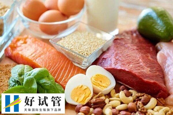 多吃高蛋白食物补充身体营养物质