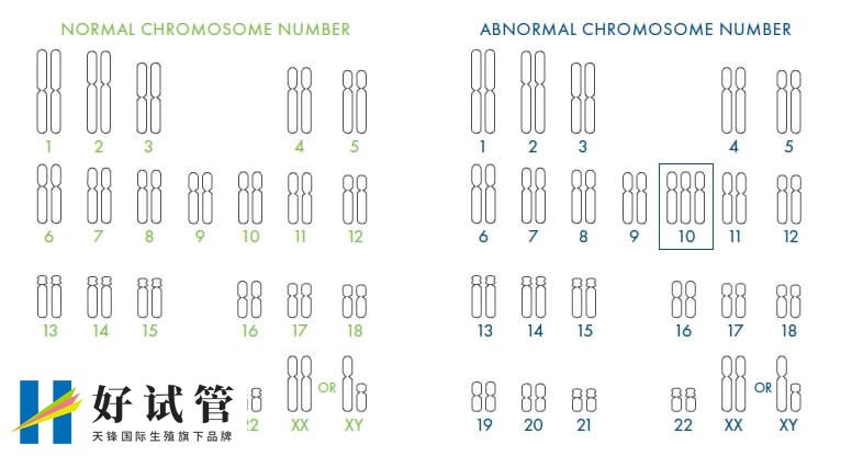 什么是PGT-A(图2) 染色体非整倍体