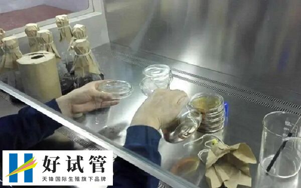 胚胎移植后出血能不能保住胎儿(图1) 胚胎移植后出血可能是先兆流产