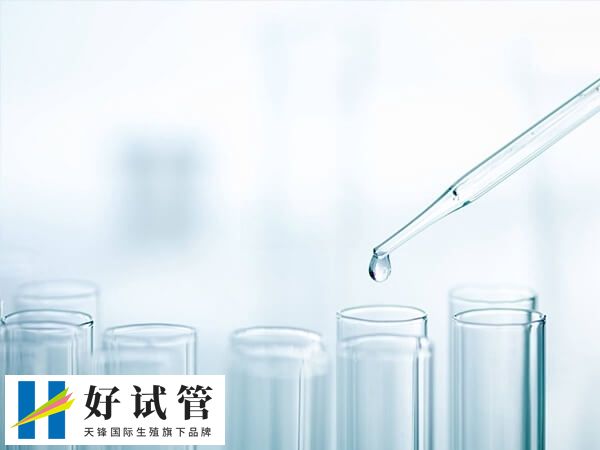 囊胚移植后使用药物后会引起胃口不好