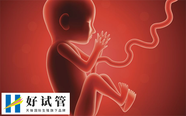 检查二超显示胎儿发育正常可以毕业