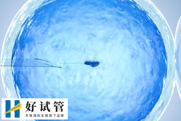 台州和温州试管成功率处于国内平均水平