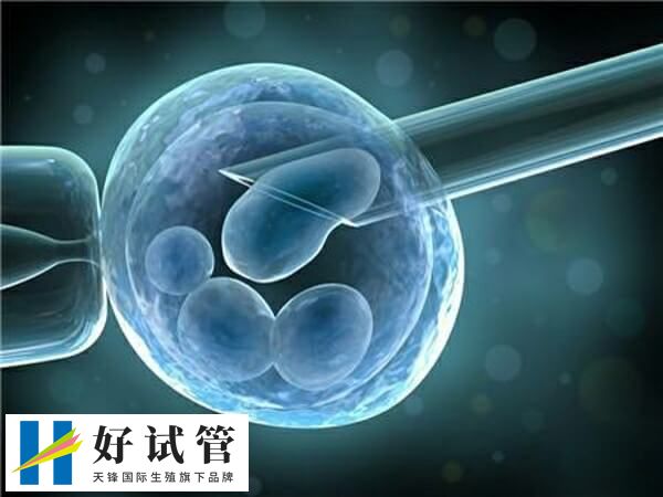 HCG低可通过药物改善