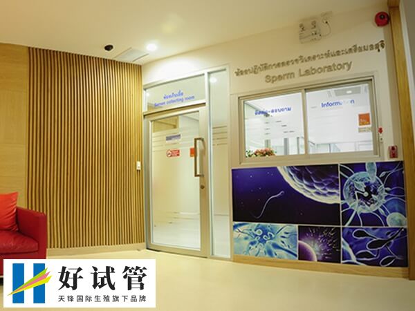 鲜胚移植后要调整良好的睡眠环境