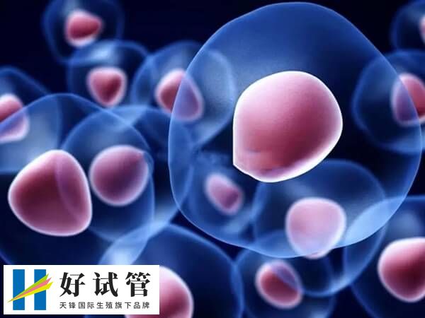 试管移植成功后怎样保胎(图1) 情绪稳定对于促进胚胎着床非常重要