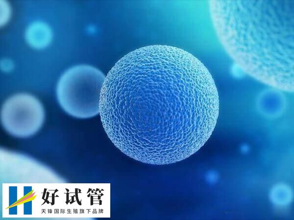 促排后卵泡不长是不是激素低(图2) 过度兴奋综合征是试管促排卵常见症状