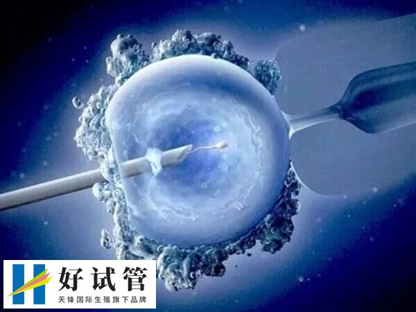内分泌紊乱会影响试管成功率