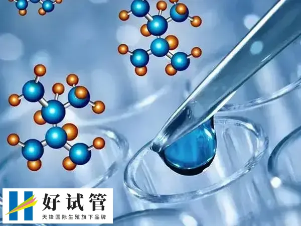 三代试管能对胚胎进行基因检测