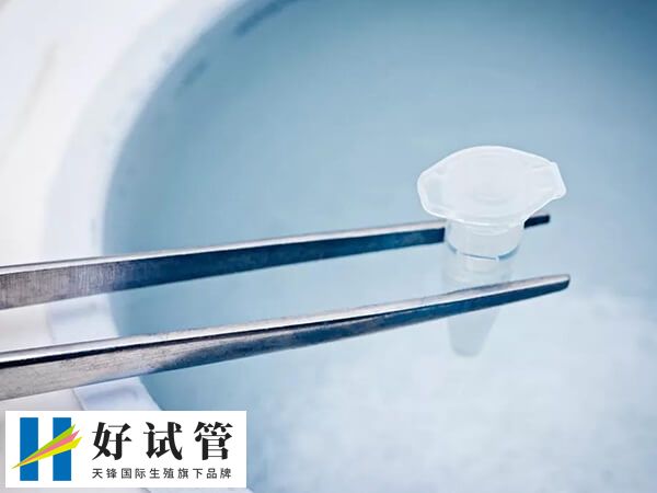 取出一管冷冻精子大概能做几次试管婴儿?(图1) 冷冻保存精子的环境是液氮中