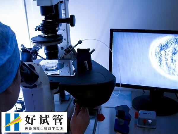 冷冻胚胎可以保存20年