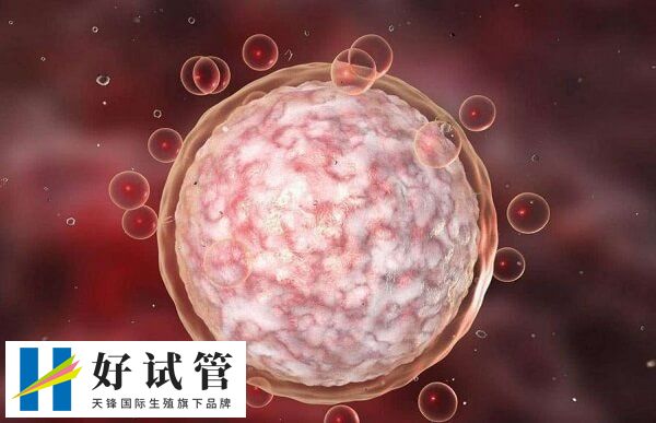 黄体期促排出现空卵泡可能是内分泌失调