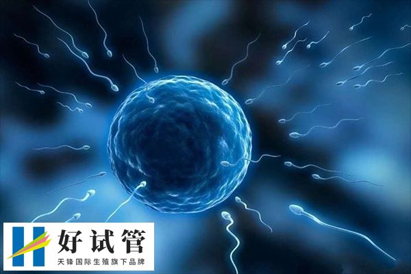 试管移植是一种较为常见的辅助生殖技术