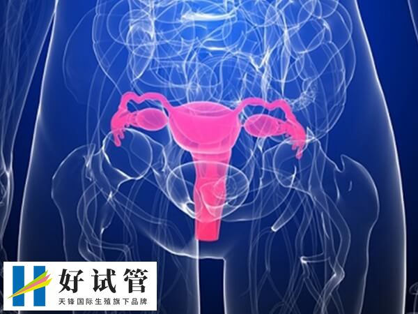 宫腔灌注多少钱一次(图2) 宫腔灌注在一般情况下是没有风险和危害的