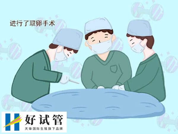 取卵手术后是不是要卧床2天(图1) 取卵手术后对女性有一定影响