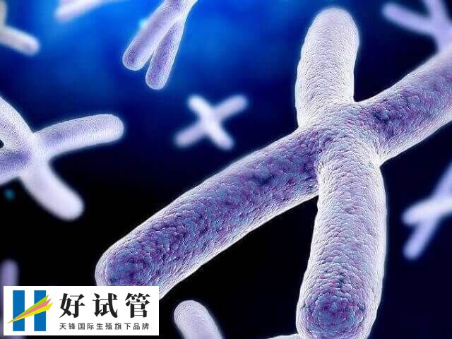 染色体非整倍体怎么办(图2) 染色体非整倍体风险高
