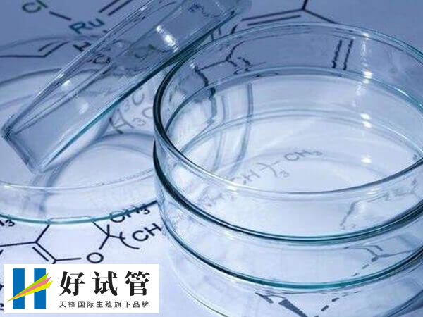 内膜调理是辅助生殖技术中的重要环节之一