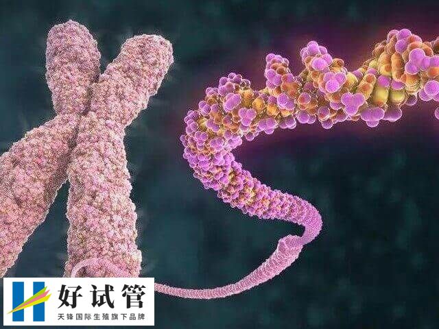 多发性骨软骨瘤做试管婴儿会不会遗传(图1) 多发性骨软骨瘤具有遗传性的