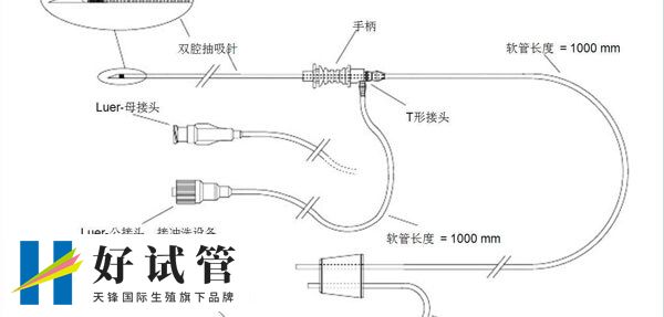 双腔取卵针结构图
