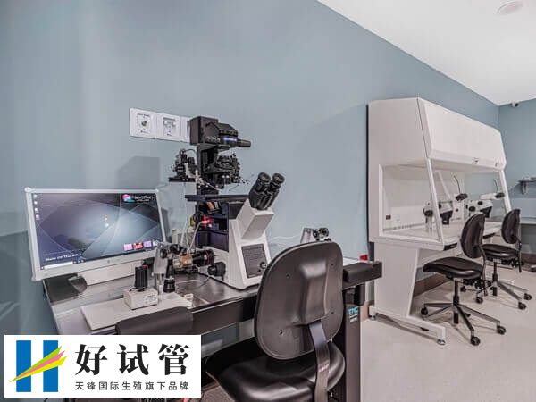 胚胎4AA是一级胚胎